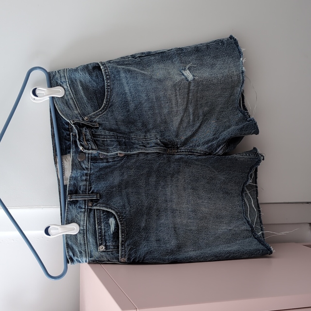 Everlane ridgid way high short